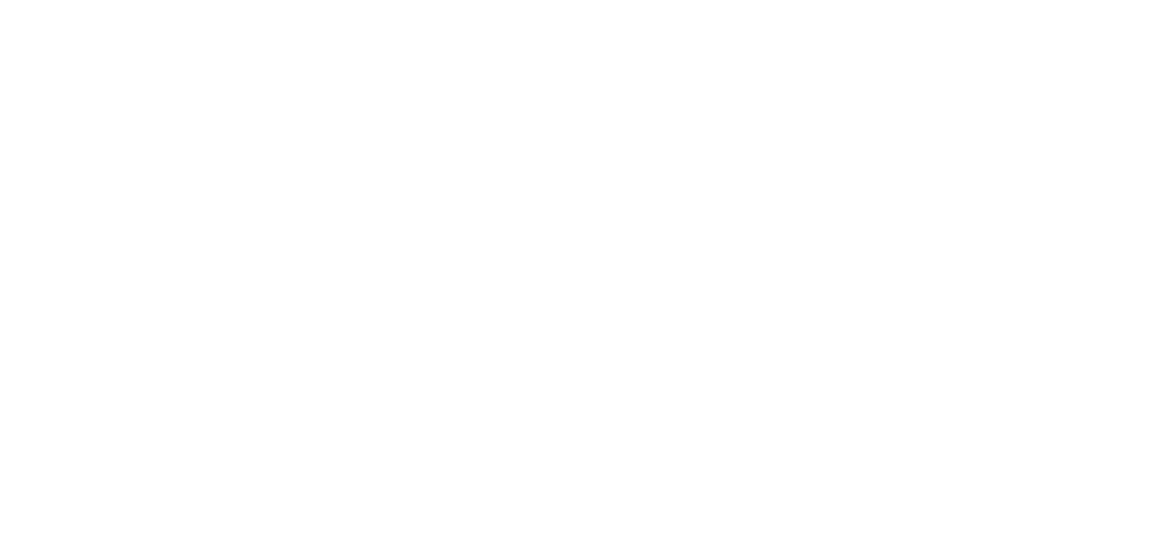 Partner Logo ZenDis